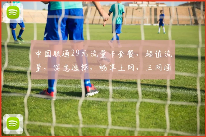 中国联通29元流量卡套餐，超值流量，实惠选择，畅享上网，三网通用，性价比高，不容错过